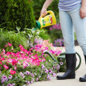Miracle-Gro® 1038361 
