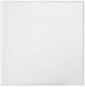 24 x 24-Inch White Sand Pebble Ceiling Tile, 16-Pieces 