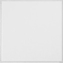 12-Inch x 12-Inch Washable White Ceiling Tile