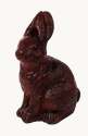 Jack Rabbit Bunny