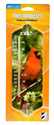 Indoor/Outdoor Thermometer Cardinal 10 in