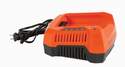 Bad Boy 80-Volt 4 Amp Charger
