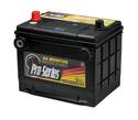 Pro-Series Gold Automotive Battery