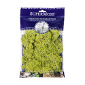 4-Ounce Bag Chartreuse Preserved Reindeer Moss, 120 Cubic Inch