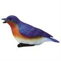 Michael Carr Blue Bird Chirper