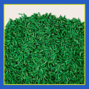 Pennington PGR100547419 