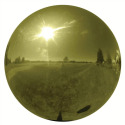 8-Inch Gold Stainless Steel Garden Gazing Globe