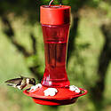 10-Ounce Crimson Silhouette Glass Hummingbird Feeder