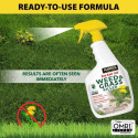 HARRIS® PFHCALSEAWEED32 