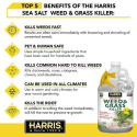 HARRIS® PFHCALSEAWEED12 