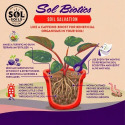 Sol® Soils SOS0400301 