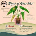 Sol® Soils SOS0300203 