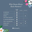 Bloem® RCSP1019 