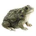Michael Carr Designs Texas Toad Statue
