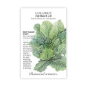 Top Brunch 2.0 Hybrid Collard Seeds