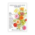 Double Blend Protulaca Moss Rose