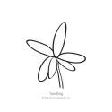 Botanical Interests® 1067 