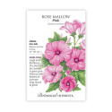 Mallow Pink Rose Seeds