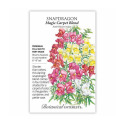 Magic Carpet Snapdragon Seeds