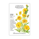 Double Sunburst Coreopsis Seeds
