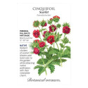 Scarlet Cinquefoil Seeds