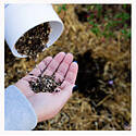Botanical Interests® 4821 