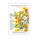 Black-Eyed Susan Vine Seed