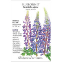 Bluebonnet Sundial Lupine