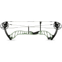 Ascend Right-Hand Bow in Forest,  60-Pound
