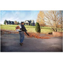 STIHL® BR 430 