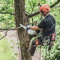STIHL® MSA 161 T 12 