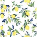 Peel And Stick Wallpaper Lemon Drop Yellow 20.5"x18'