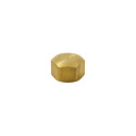 ProLine 5/8 in. Compression Brass Pipe Cap - Threaded, 1-Pack