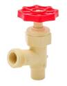 ProLine Series 1/2-Inch X 3/4-Inch CPVC Solvent-Weld Boiler Drain Valve