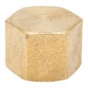ProLine 1/2 in. FIP Brass Pipe Cap - Threaded, 1-Pack