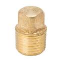 ProLine 1/2 in. MIP Brass Pipe Plug - , 1-Pack