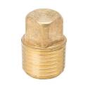 ProLine 1/8 in. MIP Brass Pipe Plug - , 1-Pack