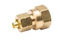 3/8 in. Compression x 1/2 in. FIP Brass Pipe ProLine Reducing Coupling - 1-Pack