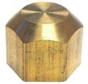ProLine 1/4 in. Flare Brass Cap Fitting - 1-Pack