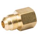 ProLine 3/8 in. Flare x 3/8 in. FIP Brass Pipe Coupling - 1-Pack