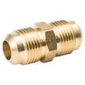 ProLine Series 1/2-Inch X 1/2-Inch Brass Flare Union