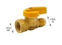 Proline Series 1/2-Inch Flare X 1/2-Inch FIP Gas Ball Valve With Lever Handle