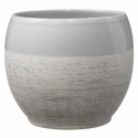 5.9-Inch Shiny Wood Optics Gray Alberta Fashion Indoor Pot