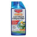 1-Quart All In One Weed And Crabgrass Killer Concentrate