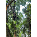 Big Game Treestands SXBGMLS4860 