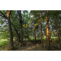 Big Game Treestands SXBGMLS4860 