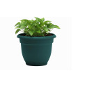 6-Inch Charleston Green Ariana Planter