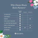 Bloem® AP0834 