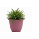 8-Inch Dusty Rose Ariana Planter