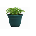 8-Inch Charleston Green Ariana Planter